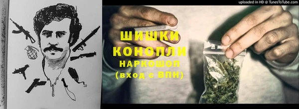 молекула духа Краснослободск