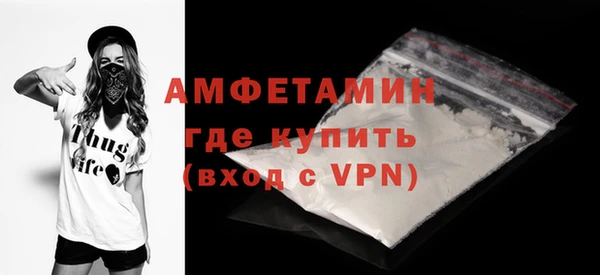 молекула духа Краснослободск