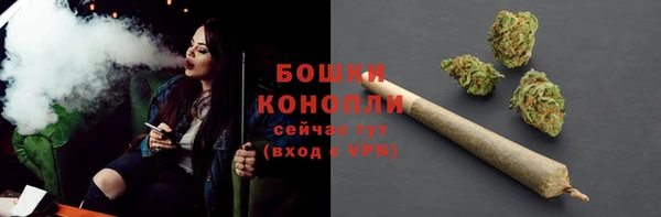 молекула духа Краснослободск