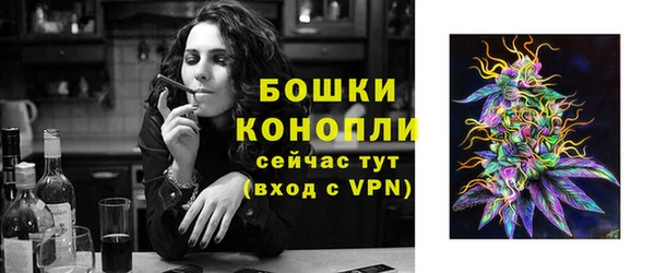 молекула духа Красноперекопск