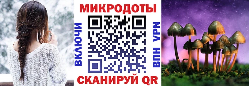 Купить  Чайковский  Галлюциногенные грибы Cubensis 